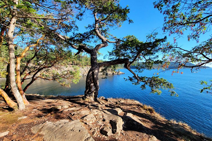 Obstruction Pass State Park