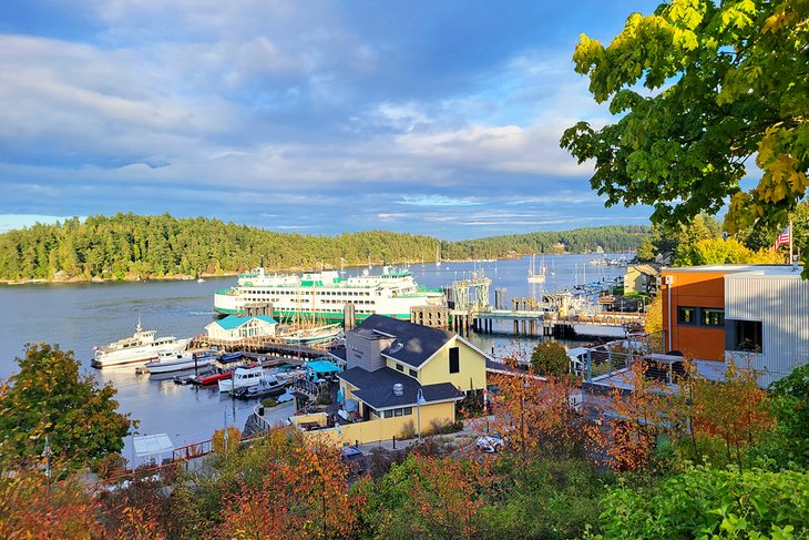 Friday Harbor, San Juan Island