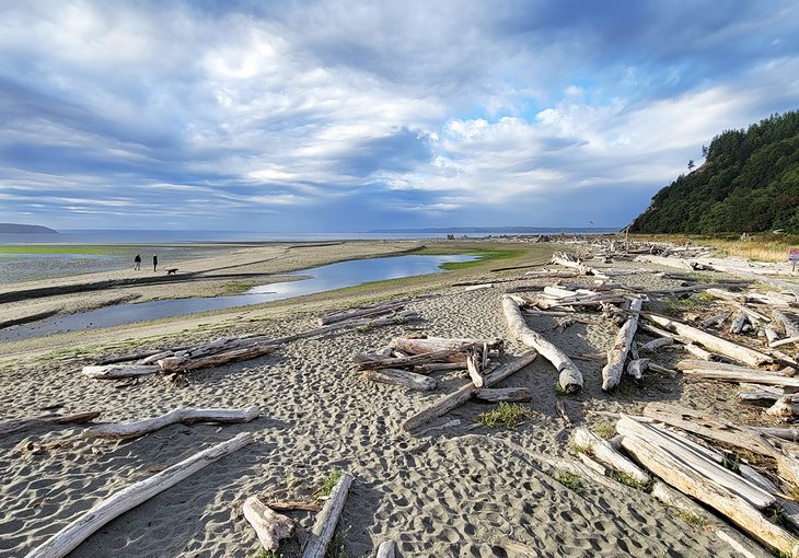 Double Bluff Beach on Whidbey Island