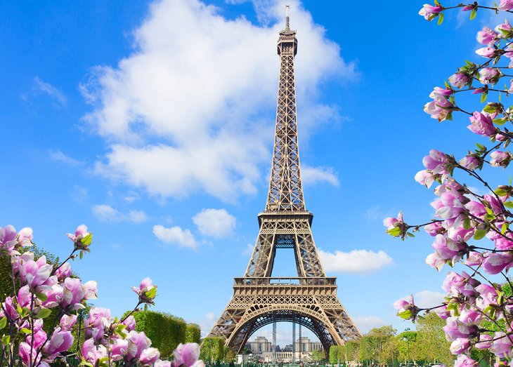 Spring flowers in front of the Eiffel Tower