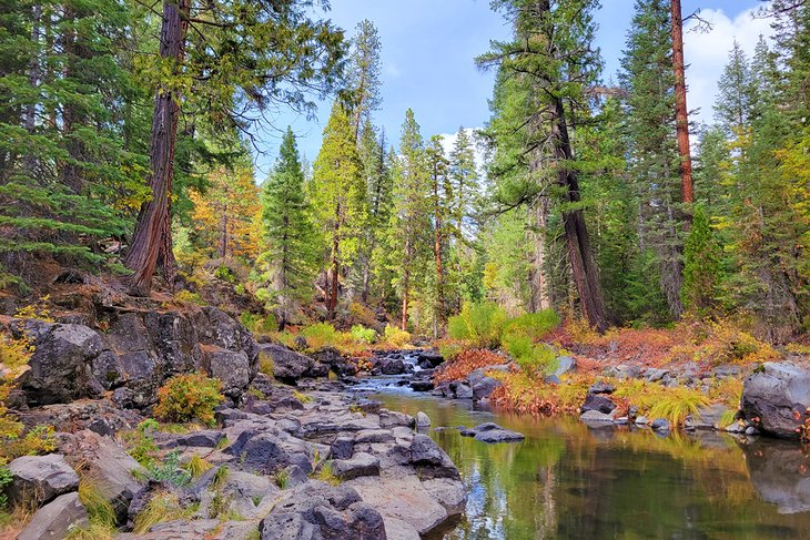 Upper McCloud River