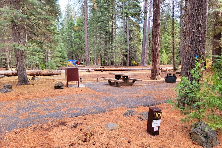 Los 10 mejores campamentos cerca de Mt. Shasta, CA