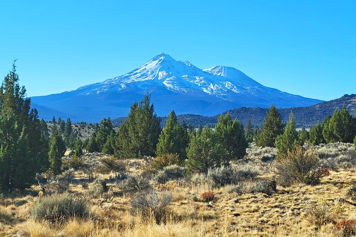 Los 10 mejores campamentos cerca de Mt. Shasta, CA