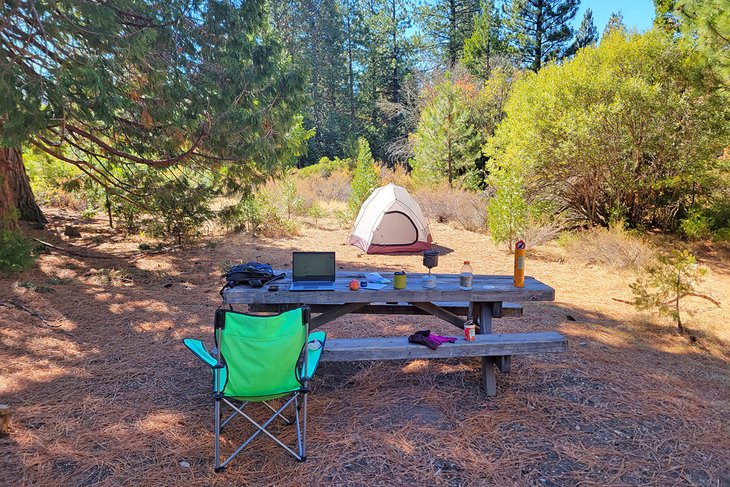 Los 10 mejores campamentos cerca de Mt. Shasta, CA