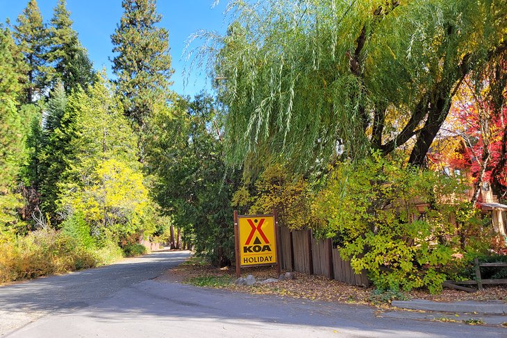 Mount Shasta KOA