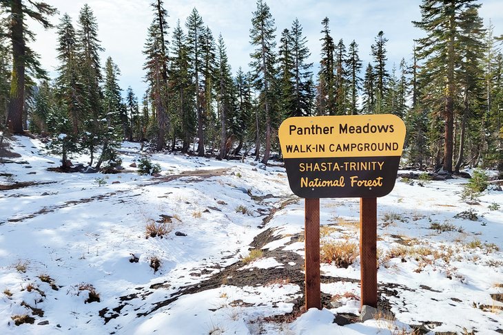 Los 10 mejores campamentos cerca de Mt. Shasta, CA