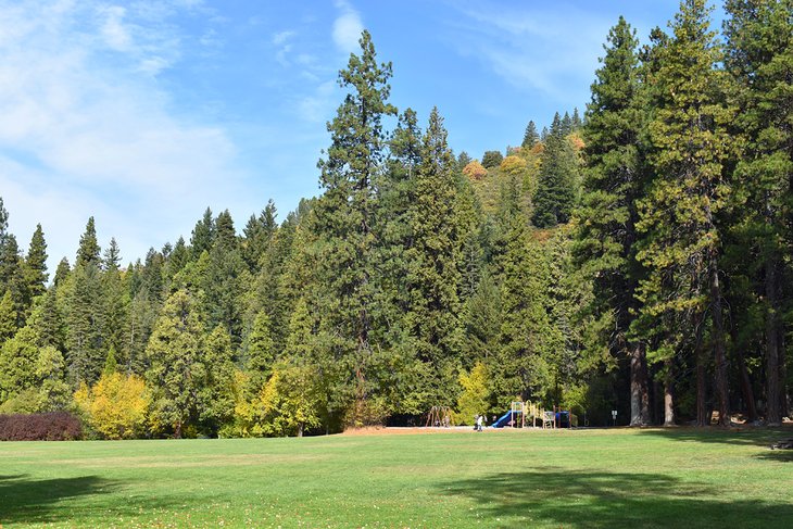 Mount Shasta City Park