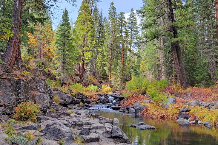 McCloud River, Shasta-Trinity National Forest