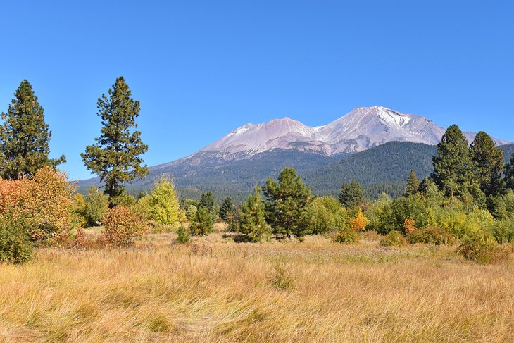 Mount Shasta