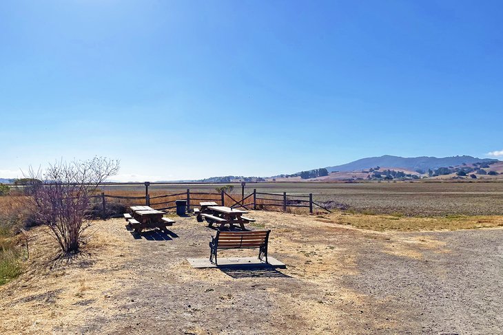 Shollenberger Park