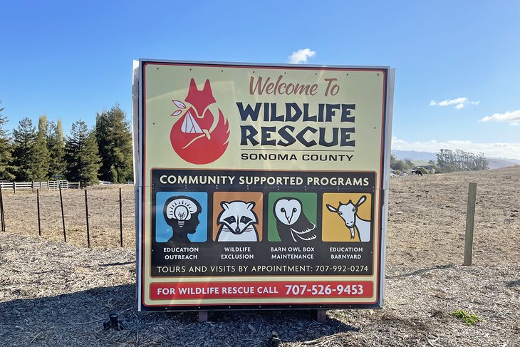 Sonoma County Wildlife Rescue