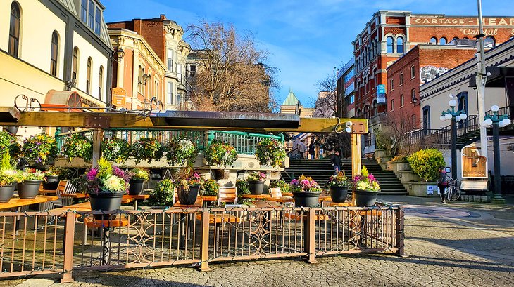 Flower pots blooming in December in Victoria