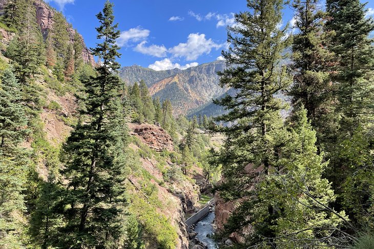 View of Ouray from the Box Canyon Falls trail