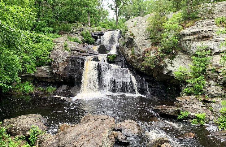 Chapman Falls from below