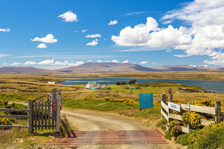 Darwin, East Falkland