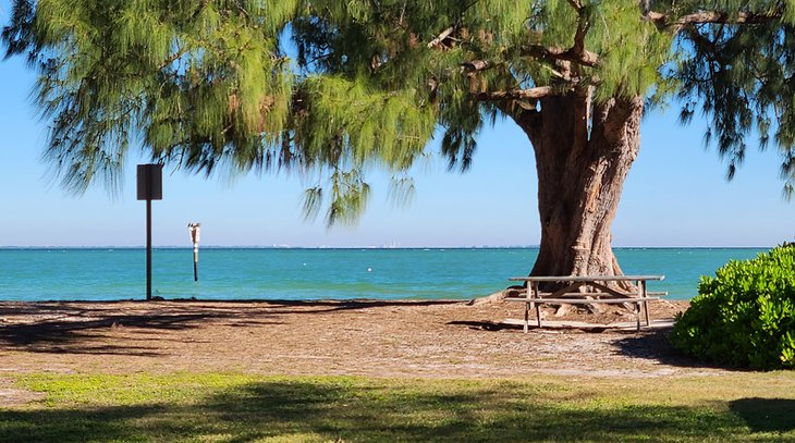 Picnic table at Bayfront Park Public Beach