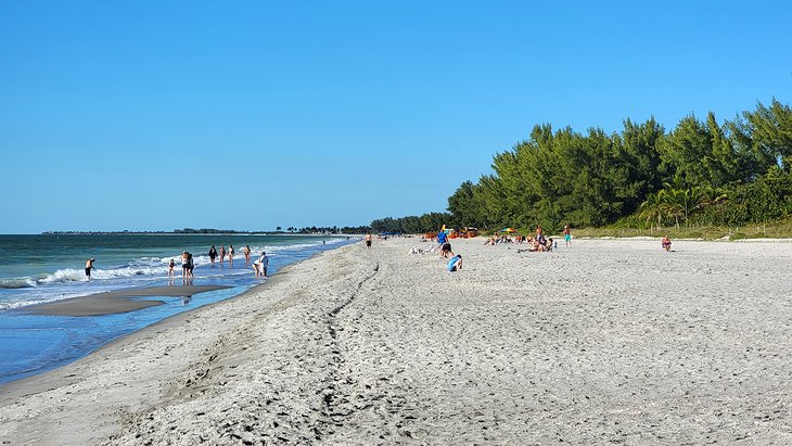 View towards Alison Hagerup Beach