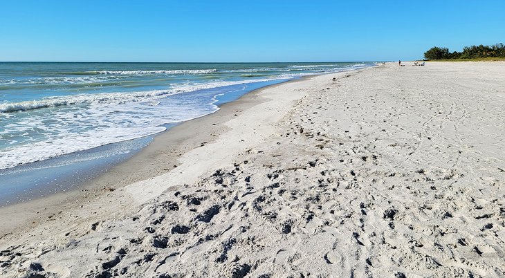 Playas en la isla de Captiva: 3 mejores puntos de acercamiento