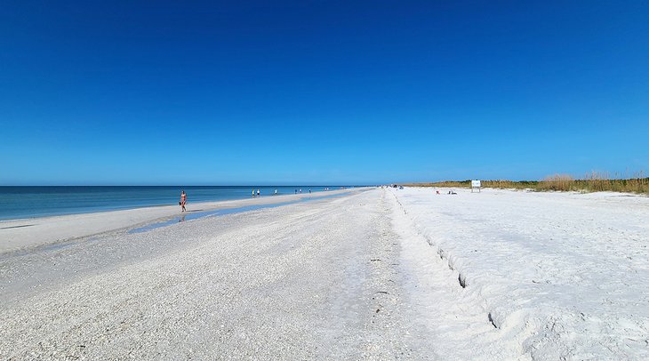 Las 5 mejores playas de Ámbito Island, Florida