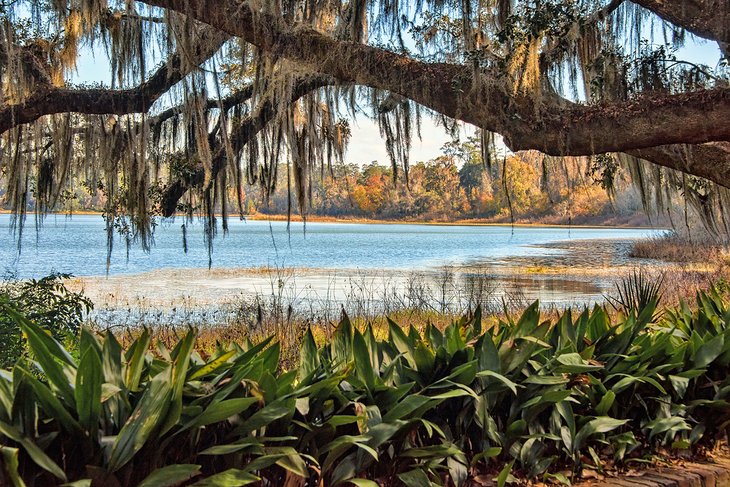 Alfred B. Maclay Gardens State Park