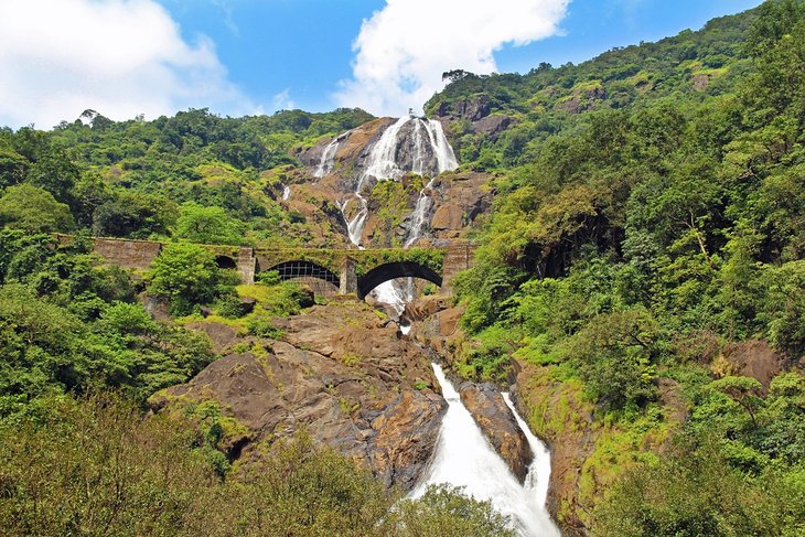 Dudhsagar Falls, Bhagwan Mahavir Wildlife Sanctuary