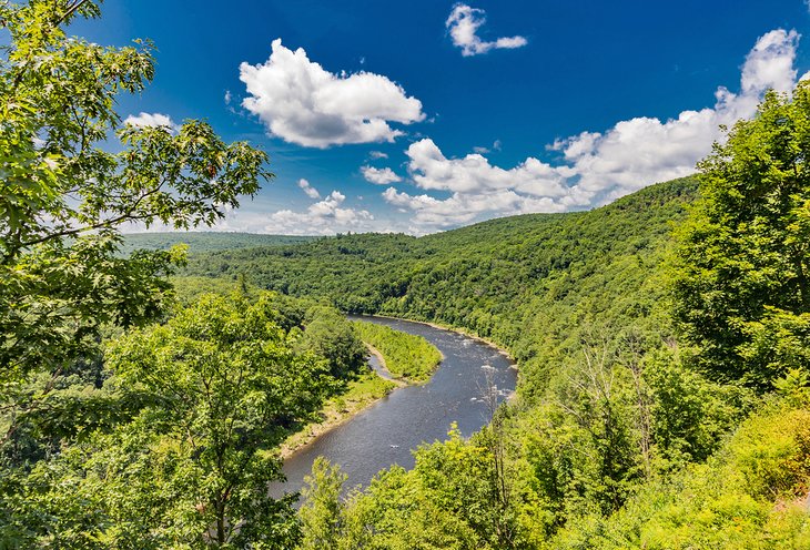 Delaware River flowing through the Catskills on a summer day