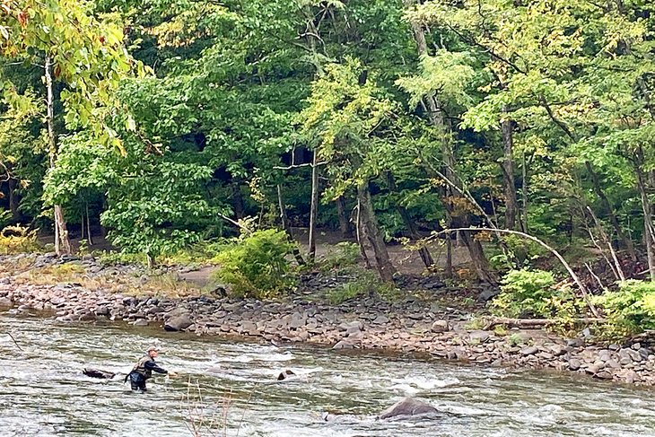 Fly-fishing in the Catskills