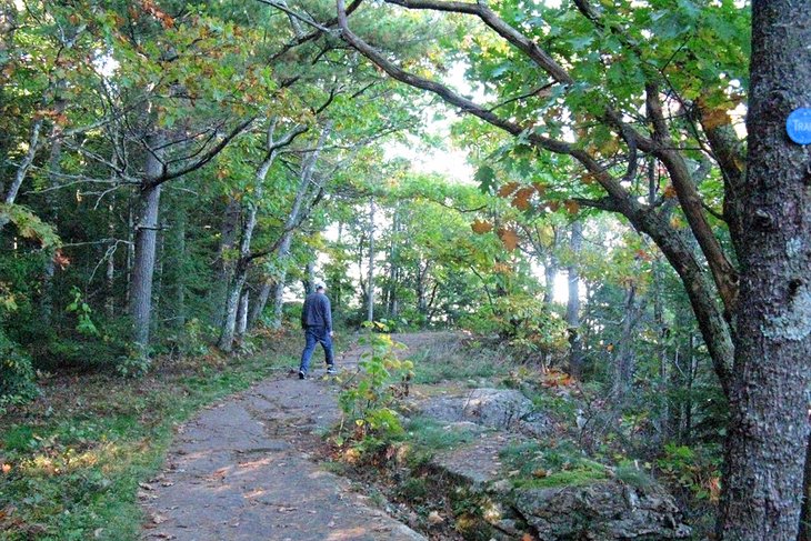 Catskills hiking trail to Artist's Rock