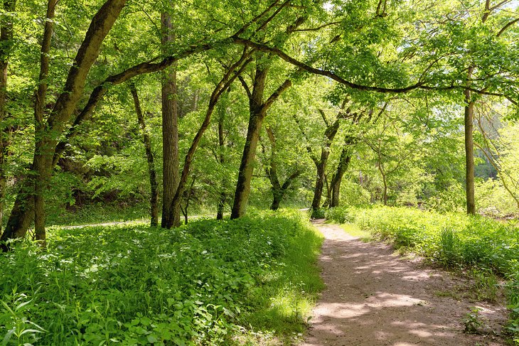 Trail through the Clear Creek Metro Park