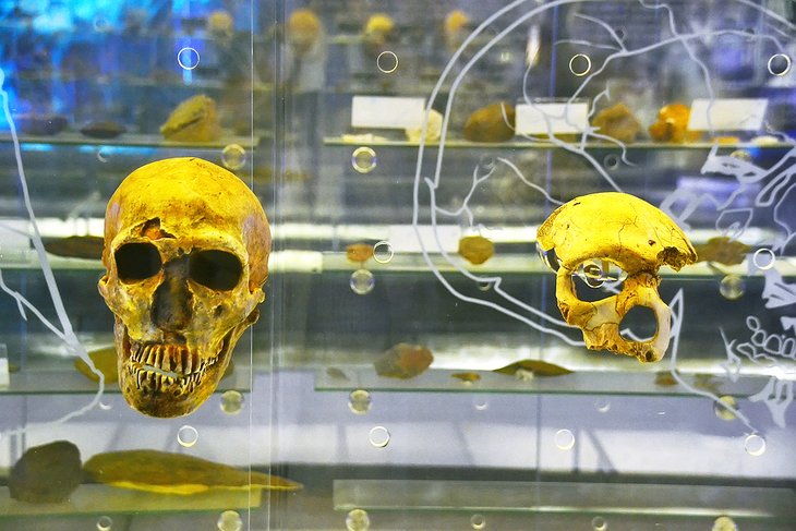 The Cradle of Humankind