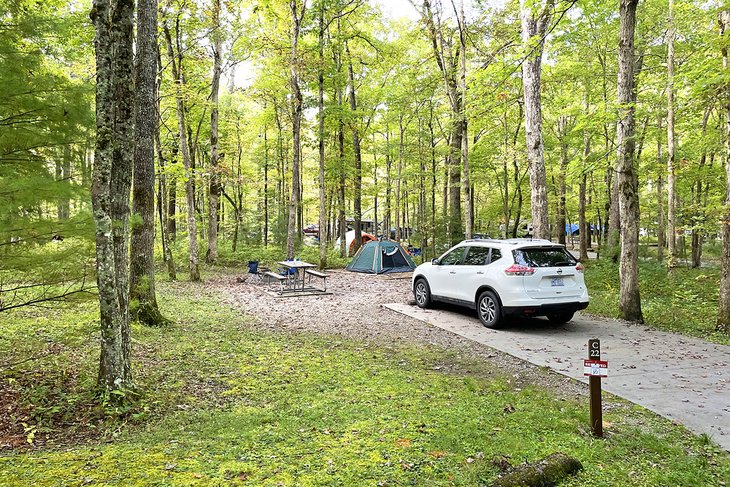 Los 12 mejores campamentos cerca de Gatlinburg, TN
