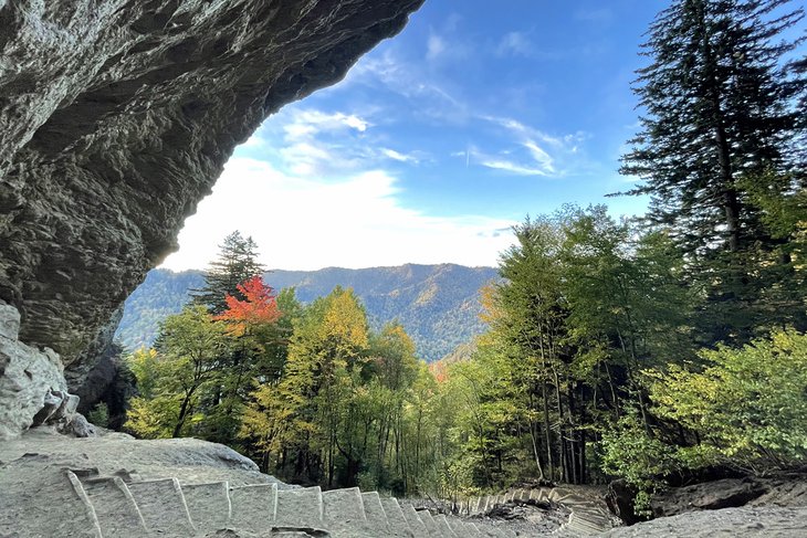 Las 16 mejores rutas de senderismo cerca de Gatlinburg, TN