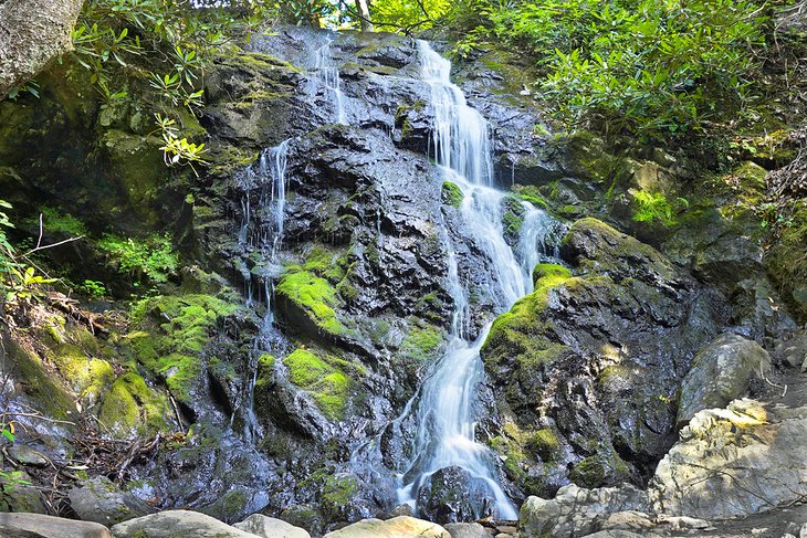 Las 16 mejores rutas de senderismo cerca de Gatlinburg, TN