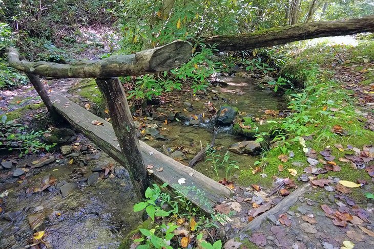 Las 16 mejores rutas de senderismo cerca de Gatlinburg, TN