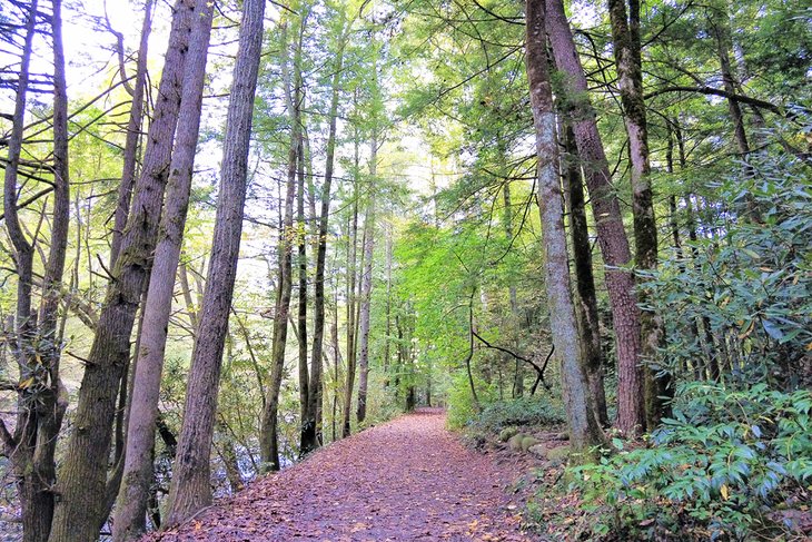 Gatlinburg Trail