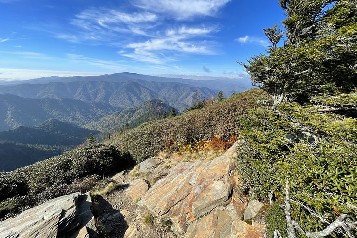 Mount LeConte summit in the Smoky Mountains