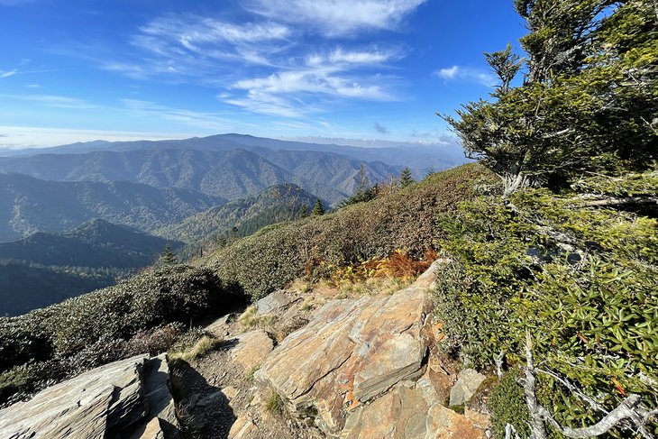 Las 16 mejores rutas de senderismo cerca de Gatlinburg, TN