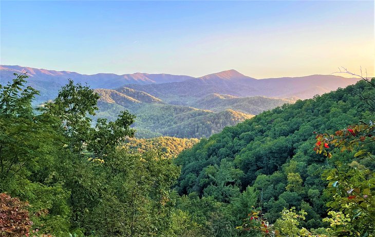 Las 16 mejores rutas de senderismo cerca de Gatlinburg, TN