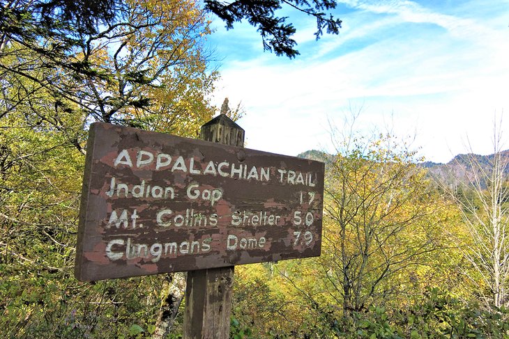 Las 16 mejores rutas de senderismo cerca de Gatlinburg, TN