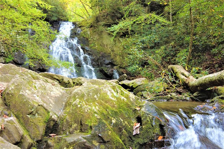 Las 16 mejores rutas de senderismo cerca de Gatlinburg, TN