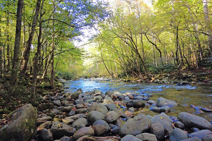 Sugarlands Valley Trail