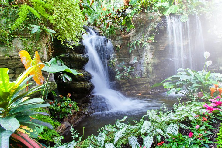 Tropical plants at the Gaylord Opryland Resort Gardens