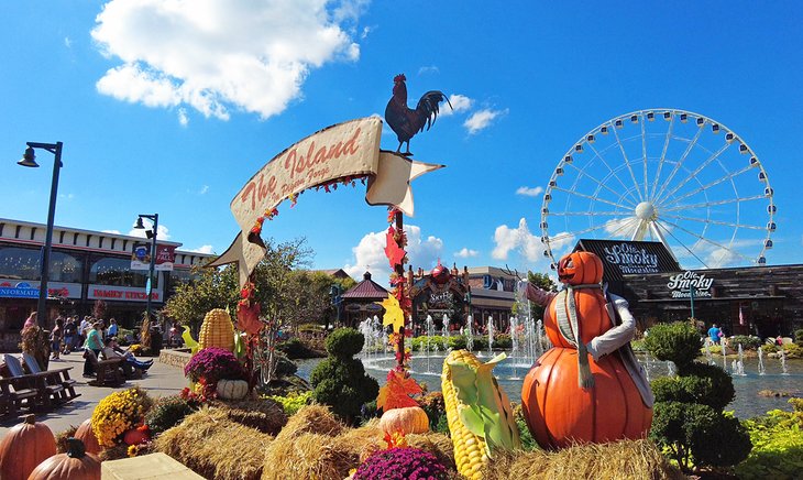 Island in Pigeon Forge