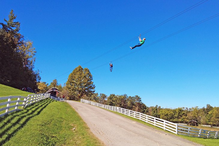 Adventure Park Ziplines