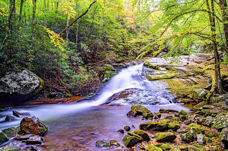 Lynn Camp Prong Cascades