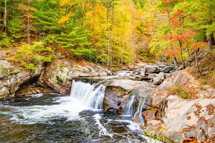 Roadside cascade in the Smokies