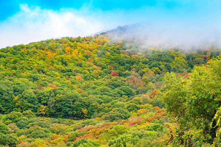 Blue Ridge Parkway