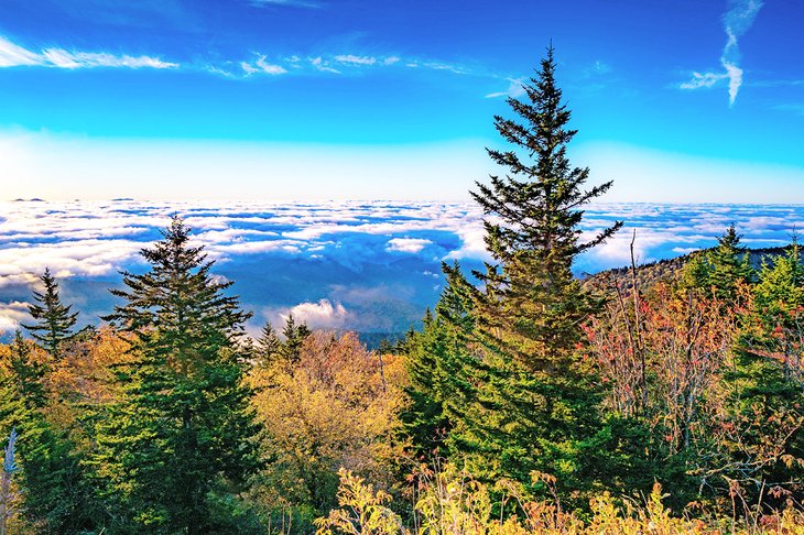 Above the clouds on Old Smoky