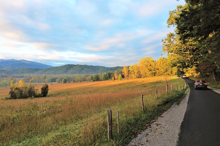 Cades Cove Loop Road