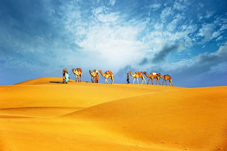 Camel safari outside Dubai